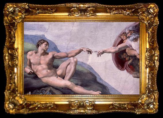 framed  Michelangelo Buonarroti Adams creation  Fran Sistine Chapel ceiling, ta009-2